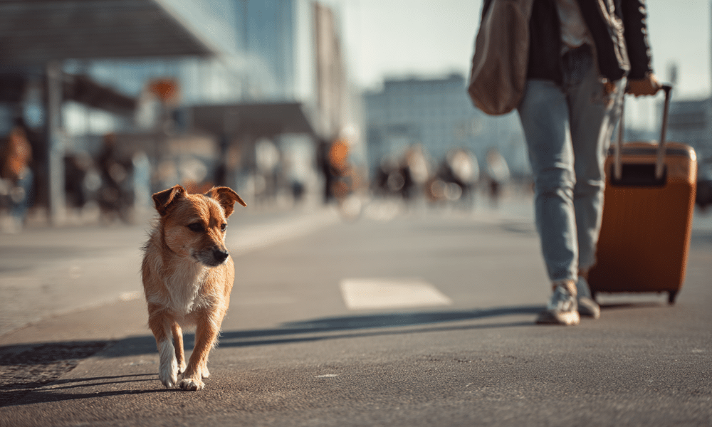 Overseas Travel Protection