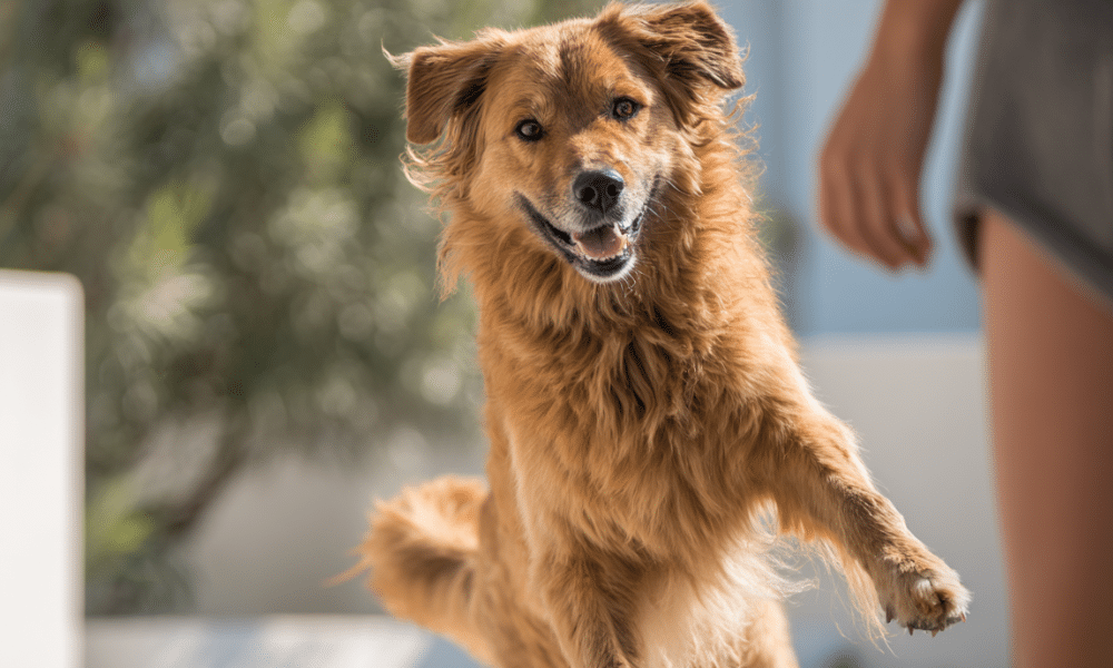 Medical Injuries to Third Parties