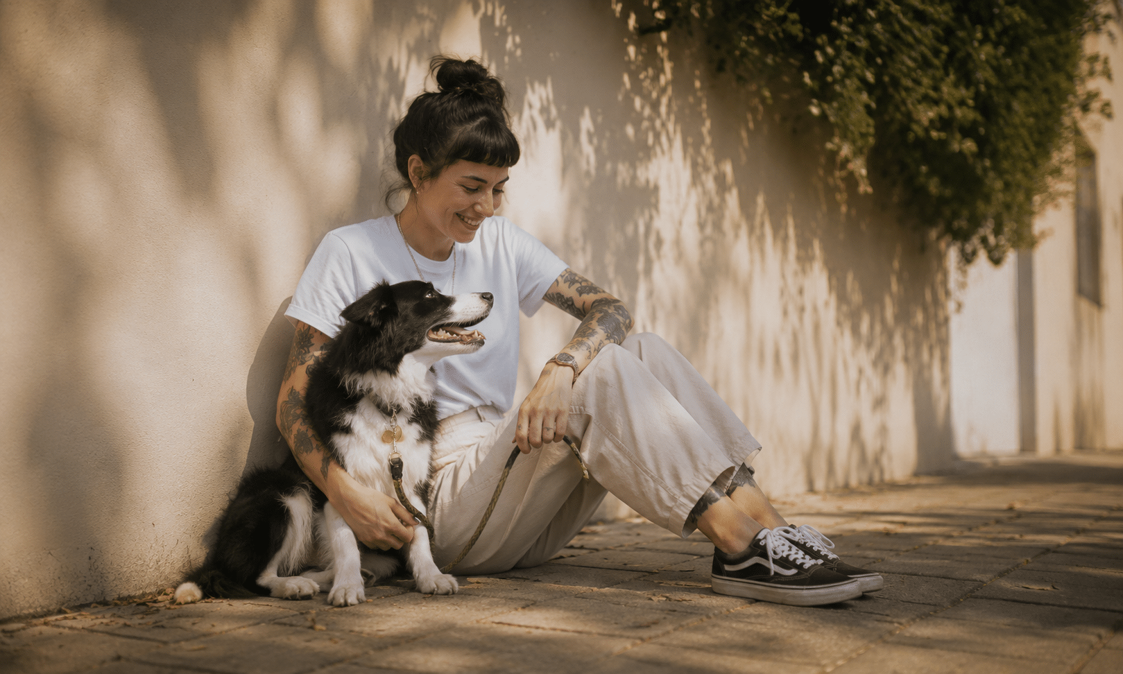 Dog Liability Insurance